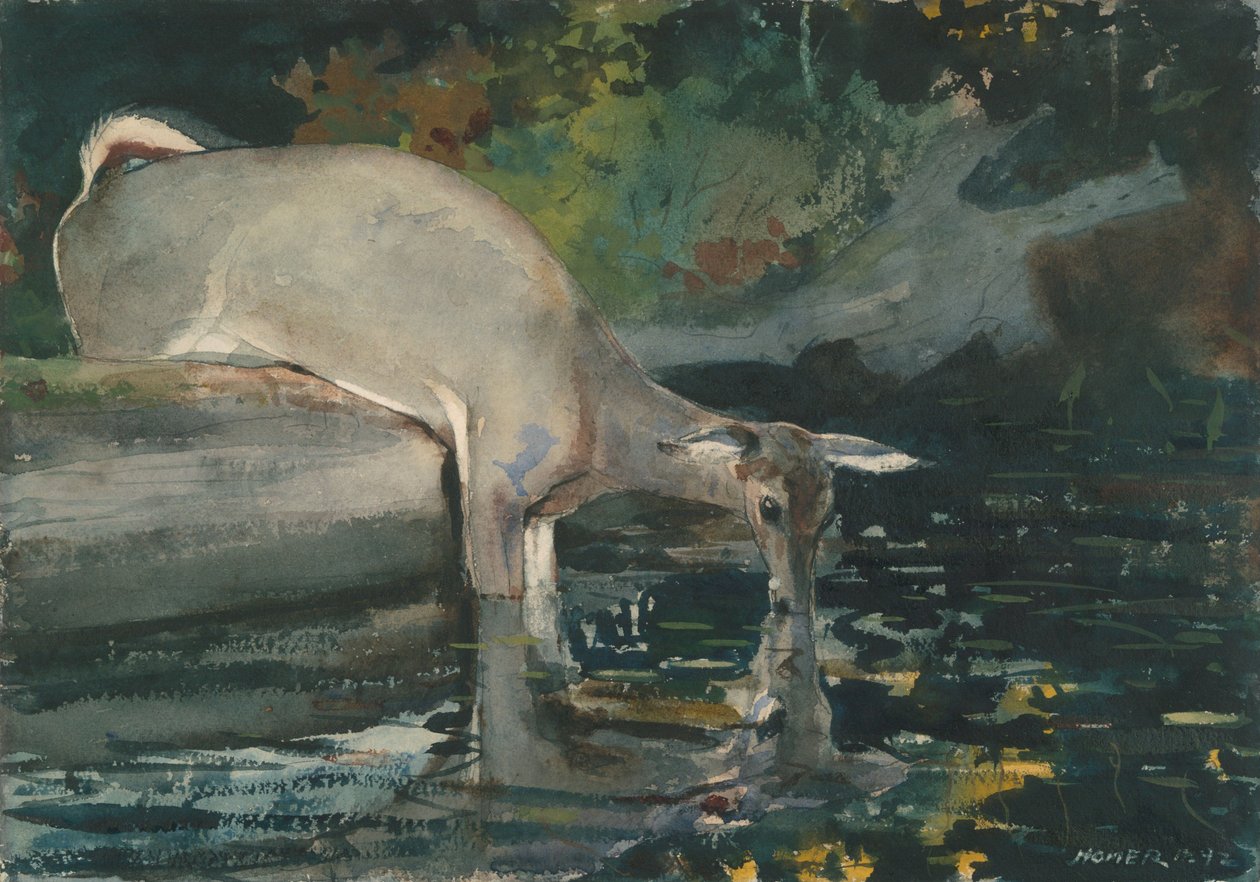  by Winslow Homer