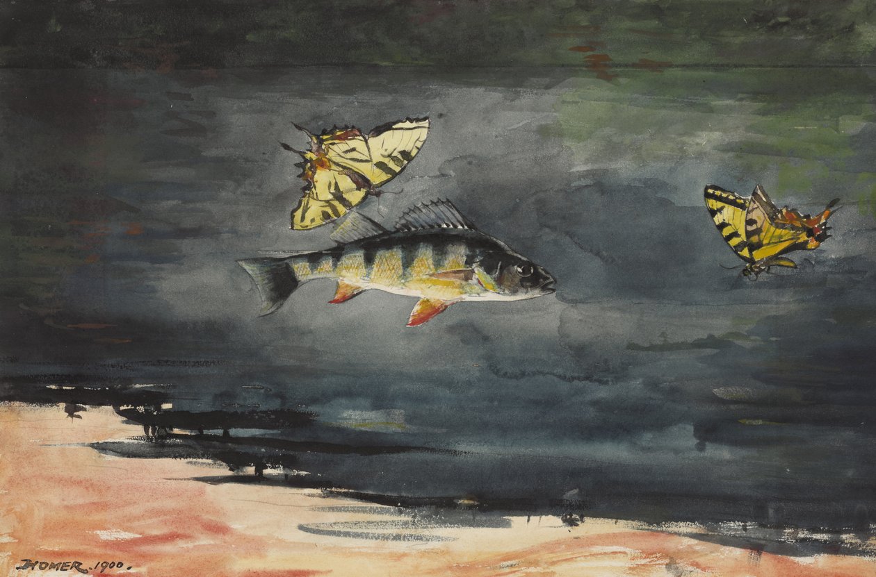 Balık ve Kelebekler, 1900 by Winslow Homer