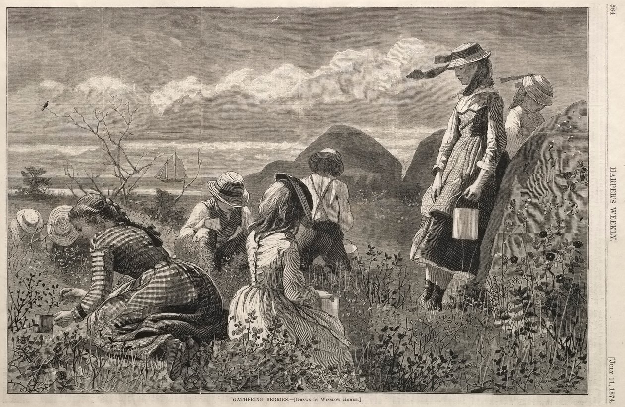 Meyve Toplama, 1874. by Winslow Homer