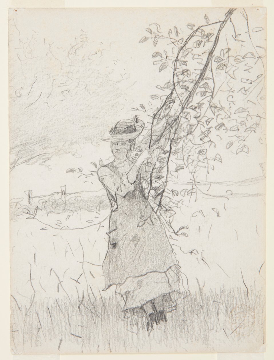 Elma Ağacının Dalını Tutan Kız by Winslow Homer