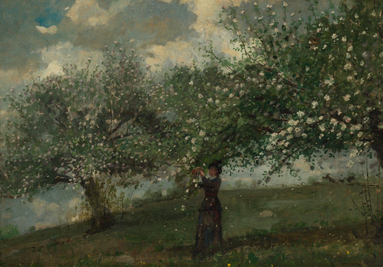 Elma Çiçeği Toplayan Kız, 1879. by Winslow Homer