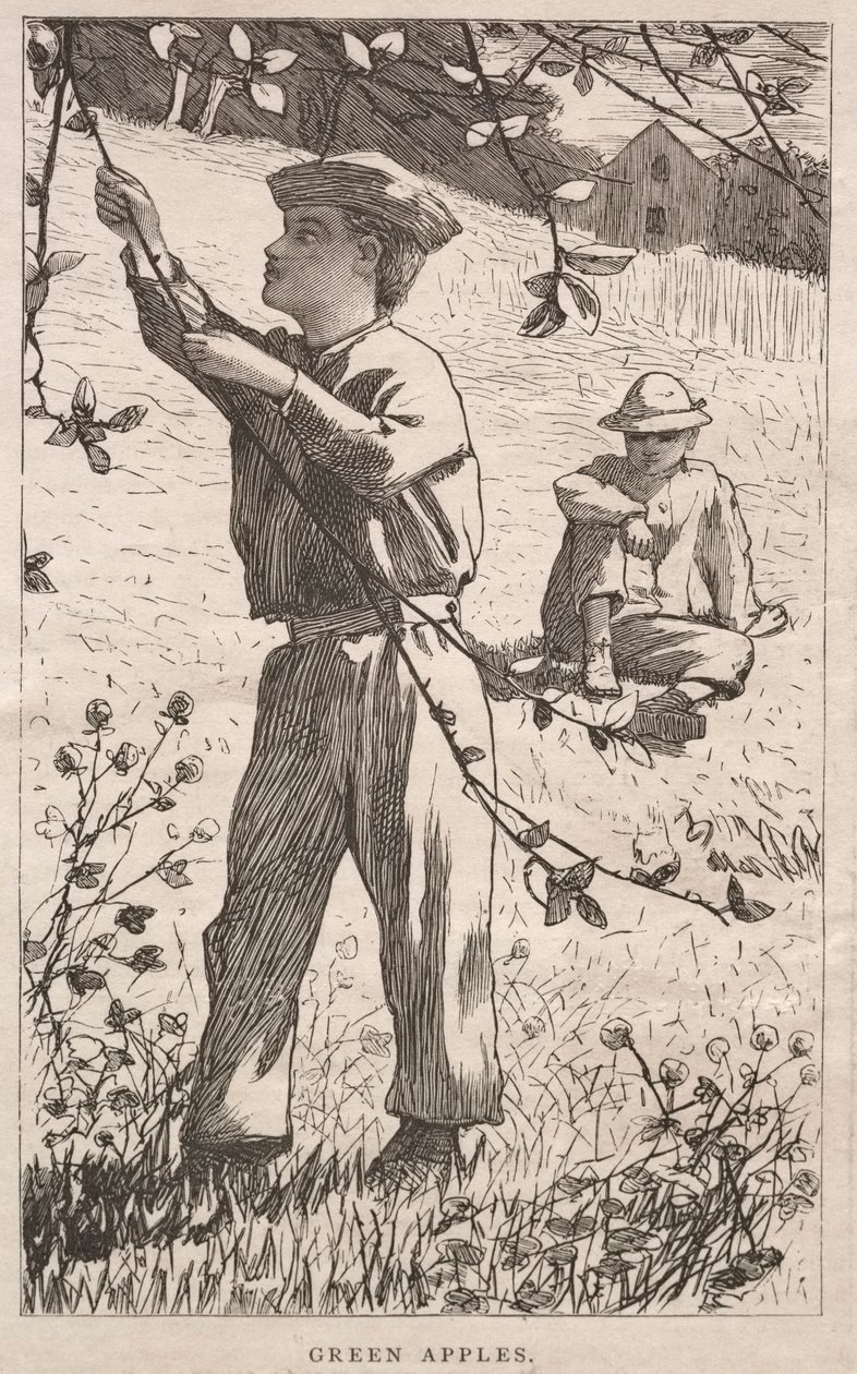  by Winslow Homer