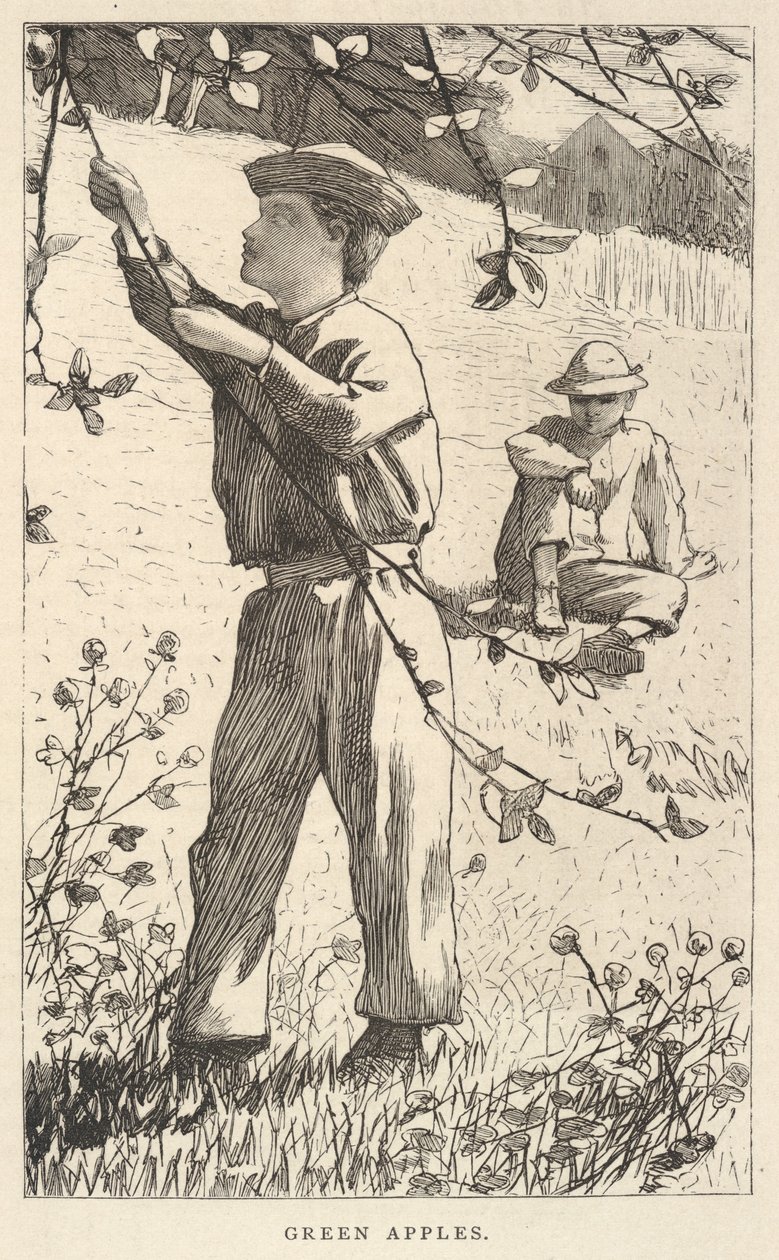  by Winslow Homer