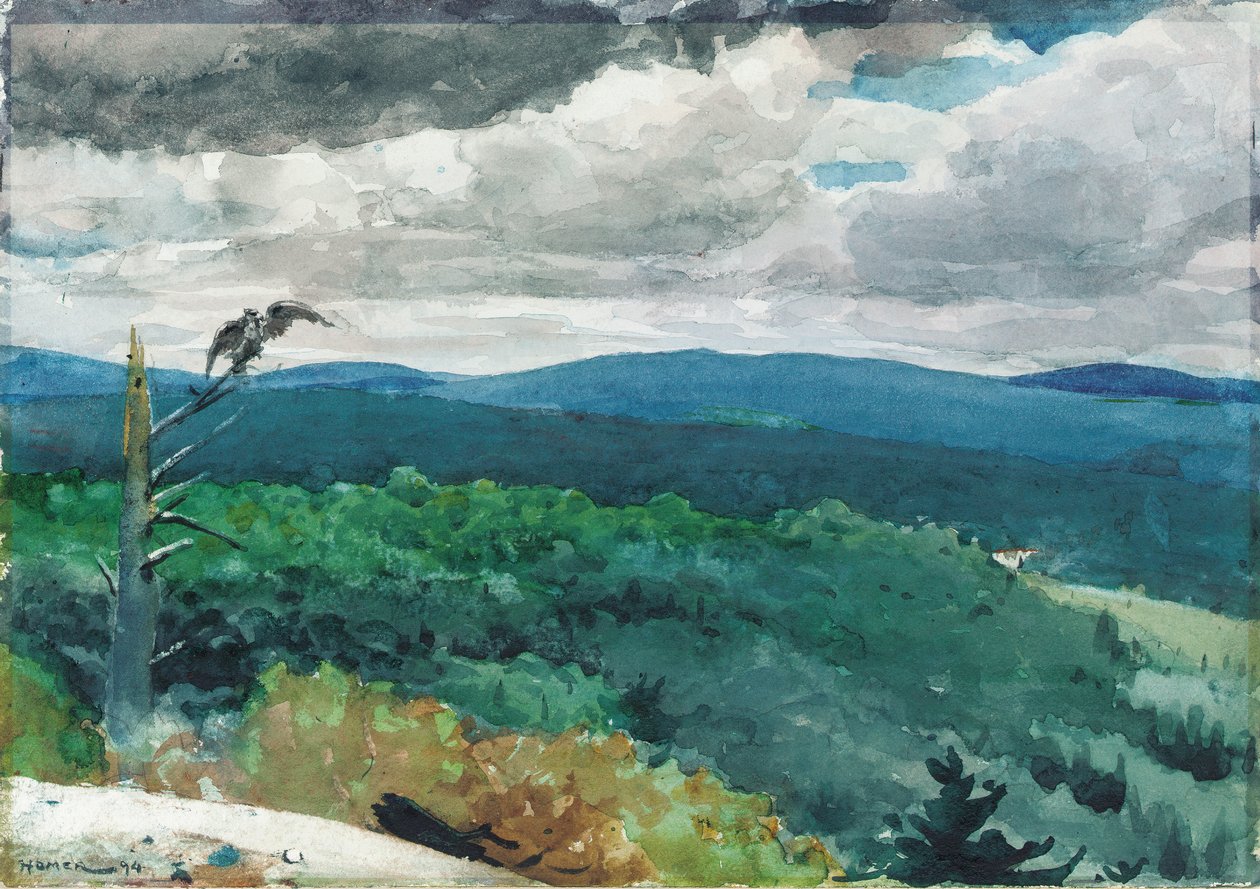 Tepeli Manzara, 1894 by Winslow Homer
