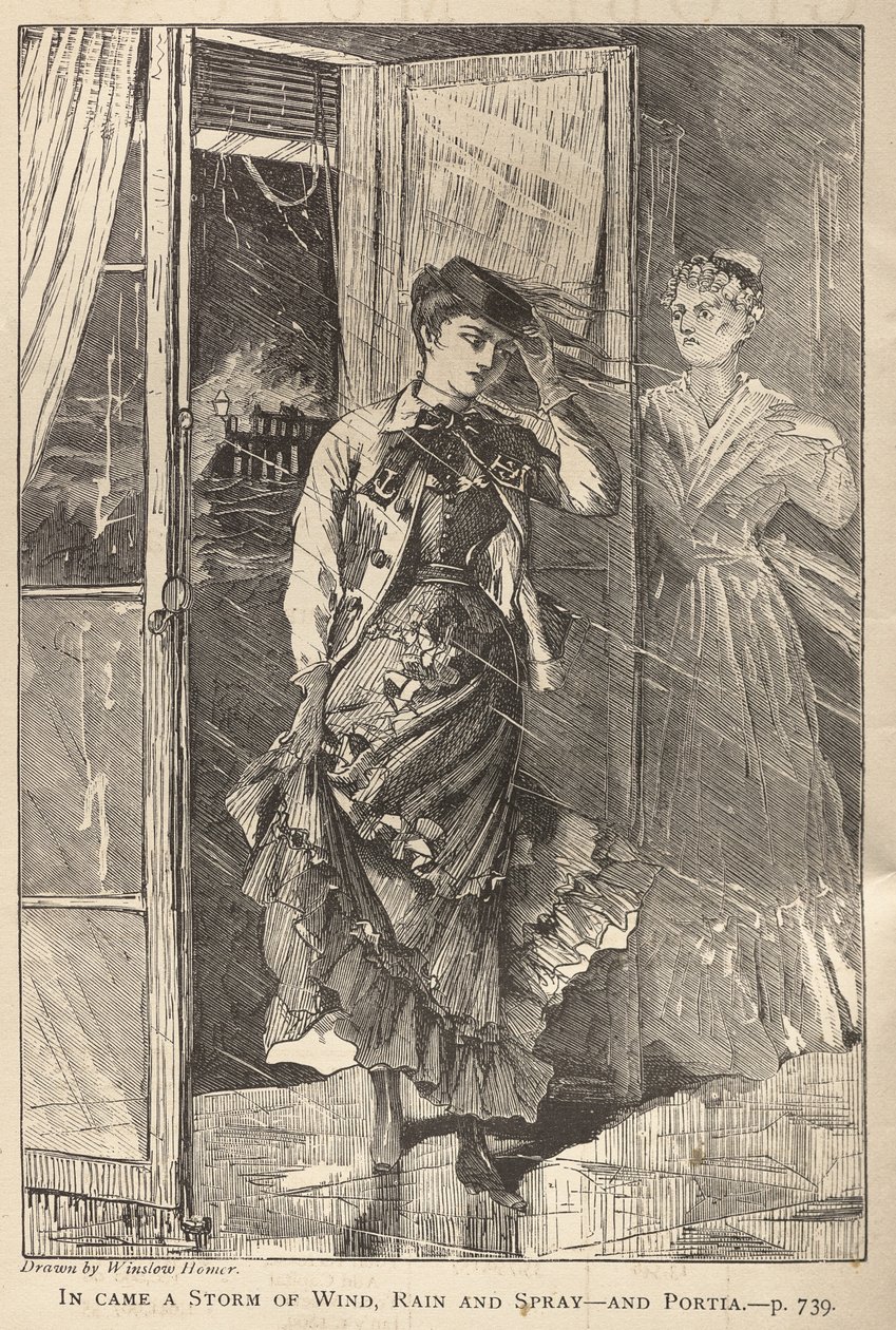  by Winslow Homer