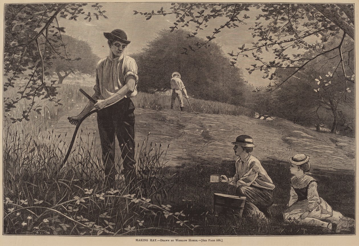 Hay yapma, 1872