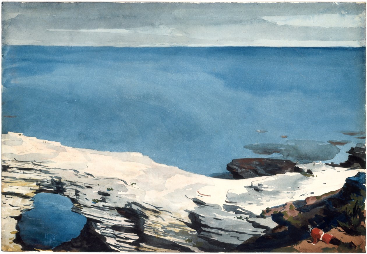  by Winslow Homer