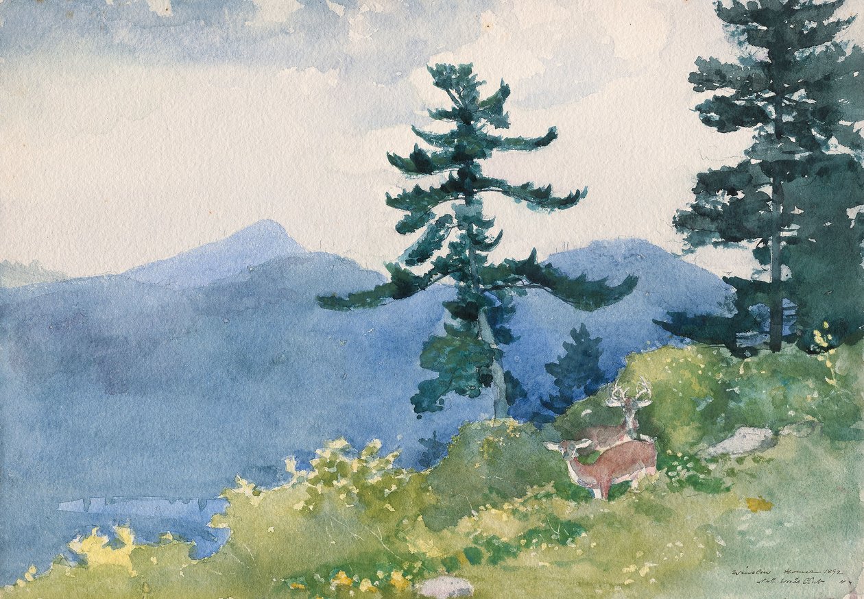 North Woods Club, Adirondacks (Kesintili Tete-a-Tete) by Winslow Homer