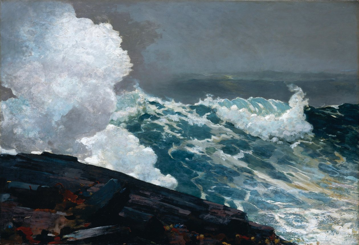 kuzeydoğu by Winslow Homer