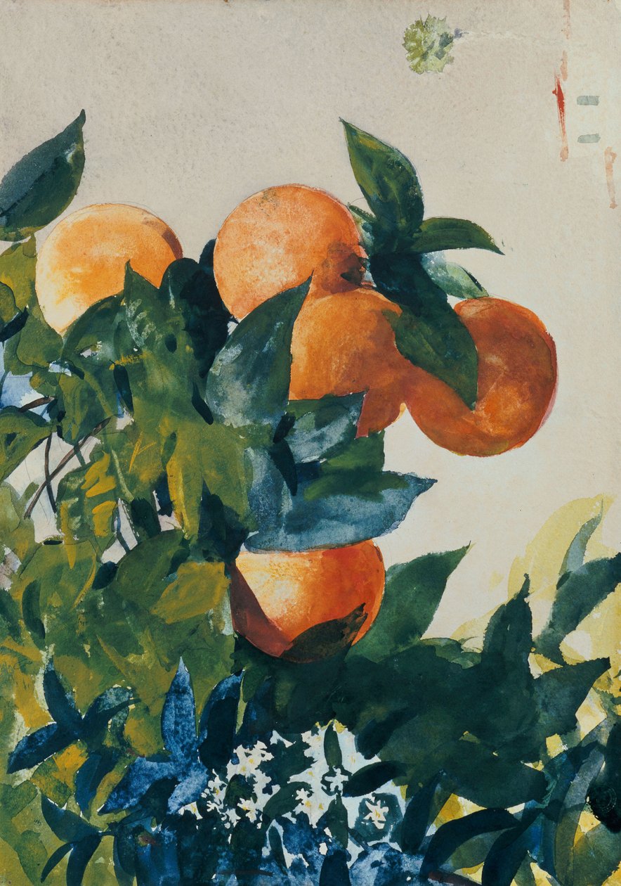 Daldaki Portakallar, 1885 by Winslow Homer