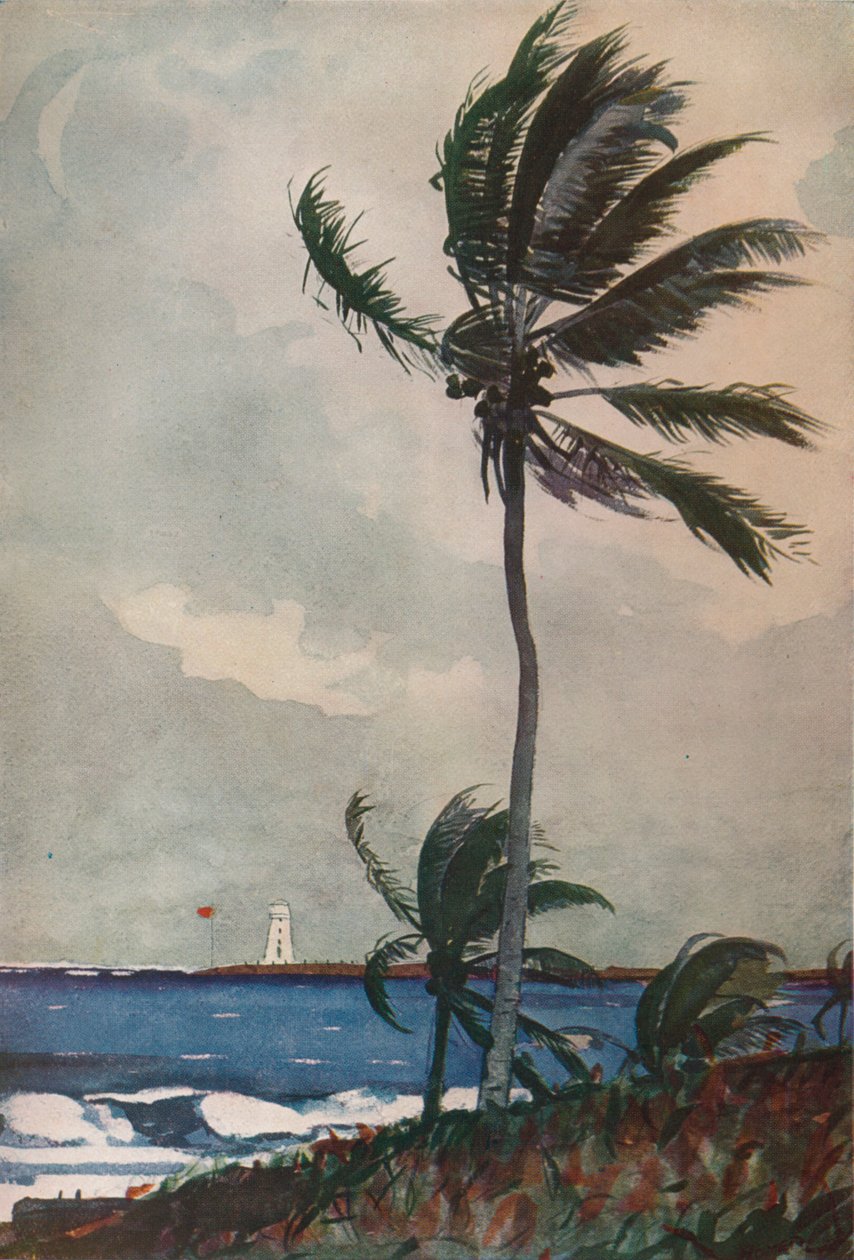 Palmiye Ağaçları, Nassau, 1898, 1932 by Winslow Homer