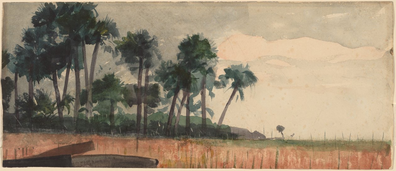 Palmiye Ağaçları, Kırmızı, 1890. by Winslow Homer