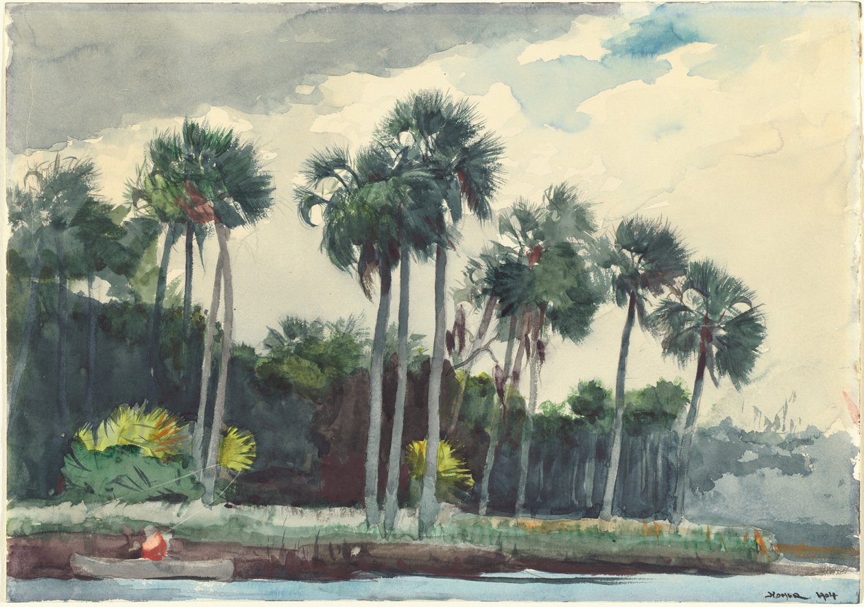Kırmızı Gömlek, Homosassa, Florida by Winslow Homer
