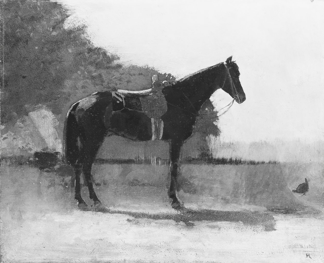 Farm Yard