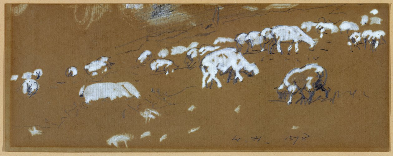 Koyun, 1878 (kağıt üzerinde grafit ve beyaz guaj) by Winslow Homer