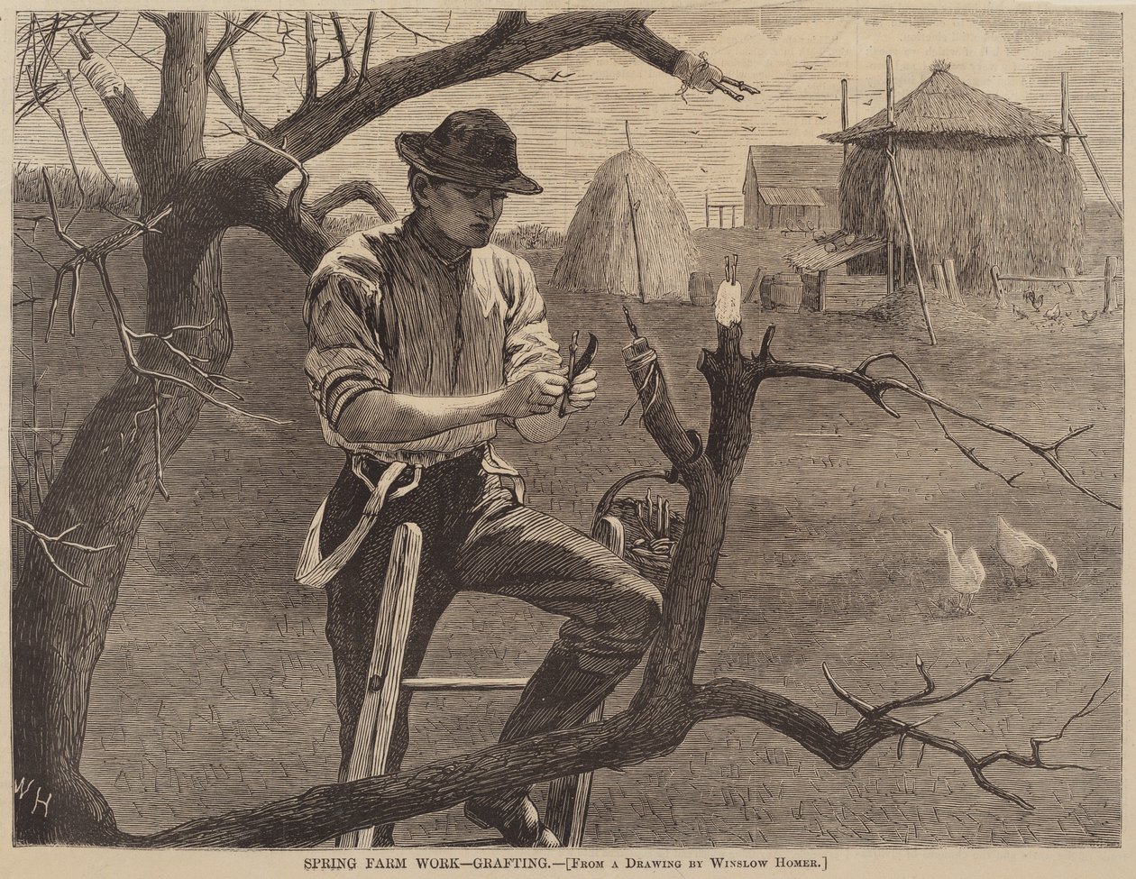 Spring Farm Work - Aşılama, 1870 yayınlandı. by Winslow Homer