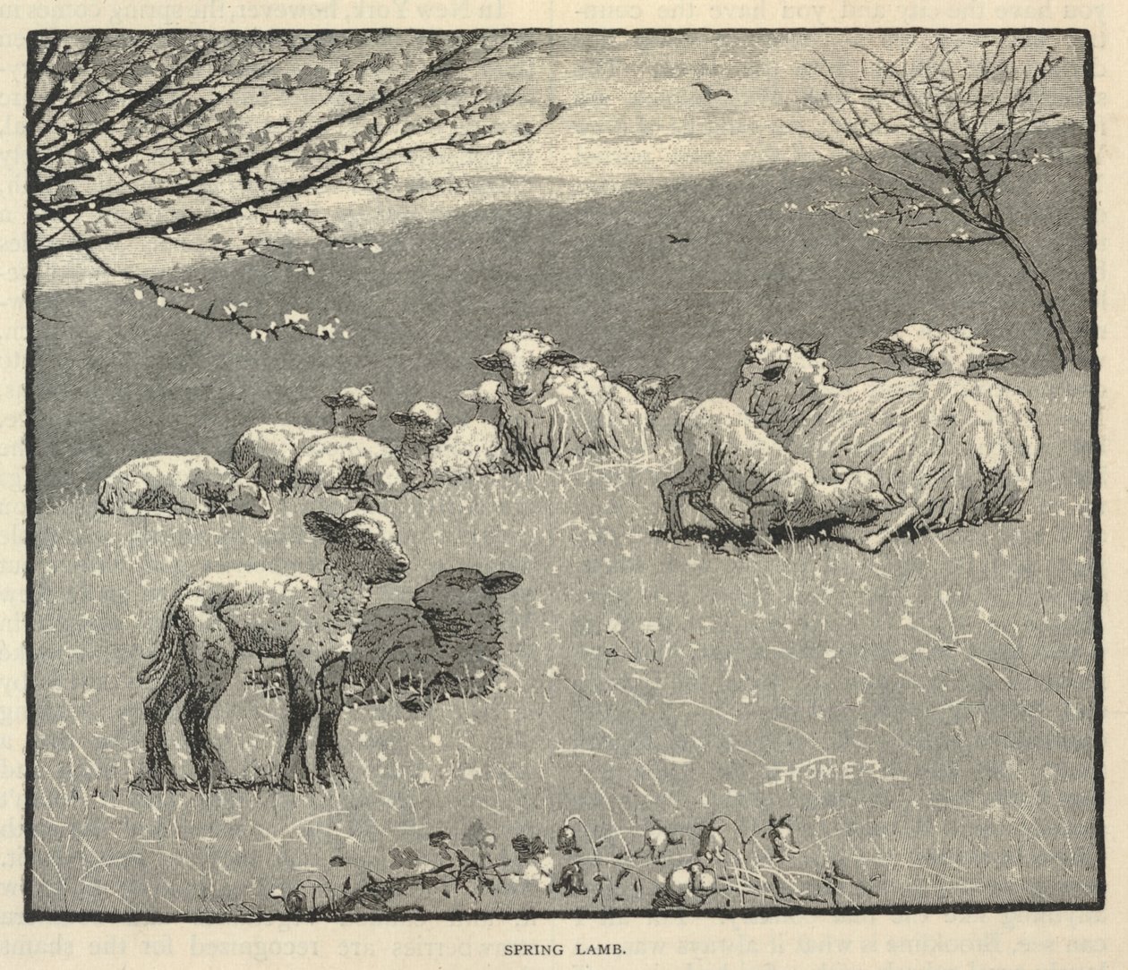  by Winslow Homer