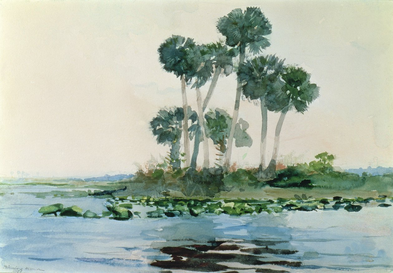 John Nehri, Florida, 1890 by Winslow Homer