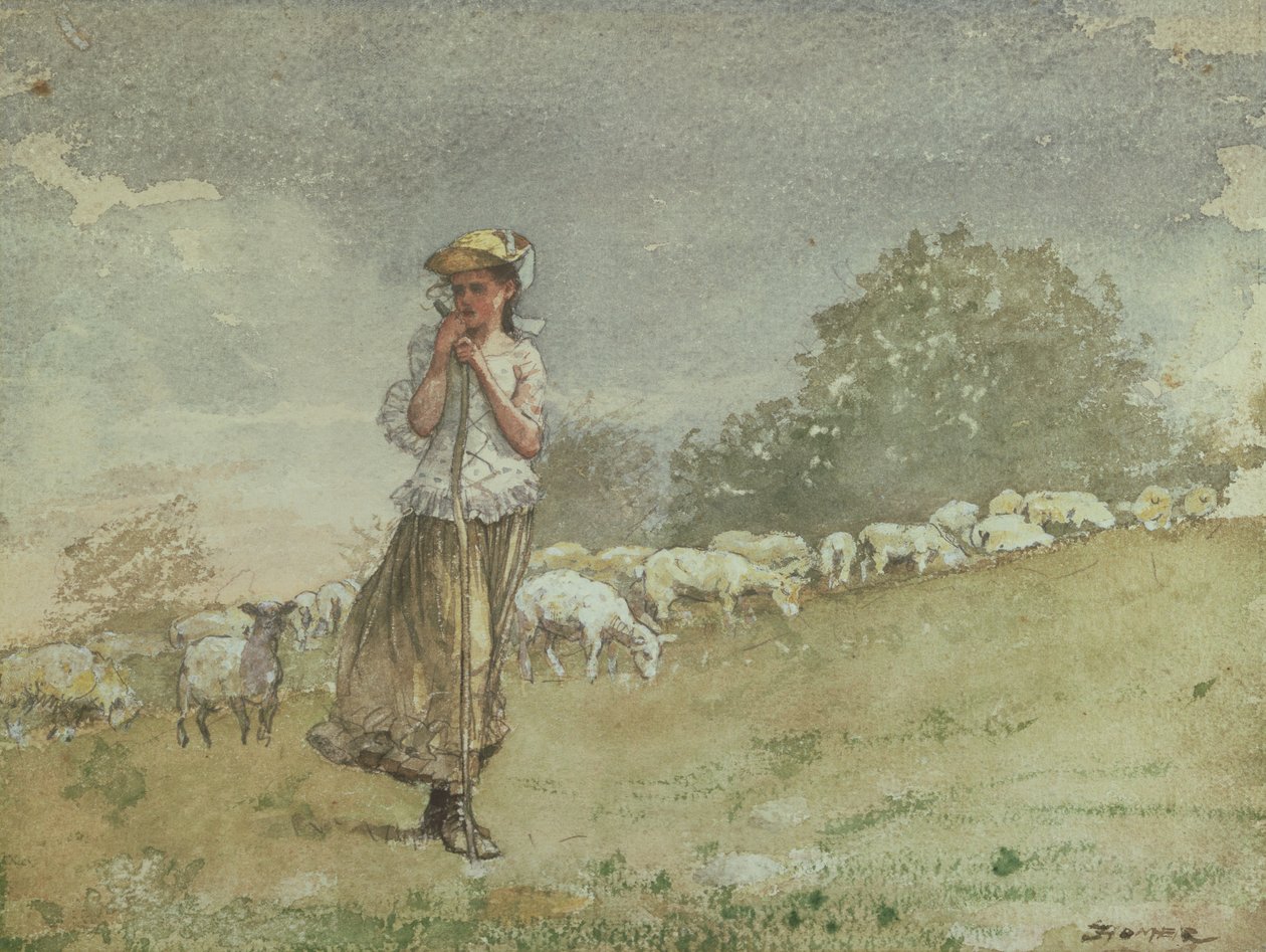 Koyun Bakımı, Houghton Çiftliği, c.1878-79 by Winslow Homer