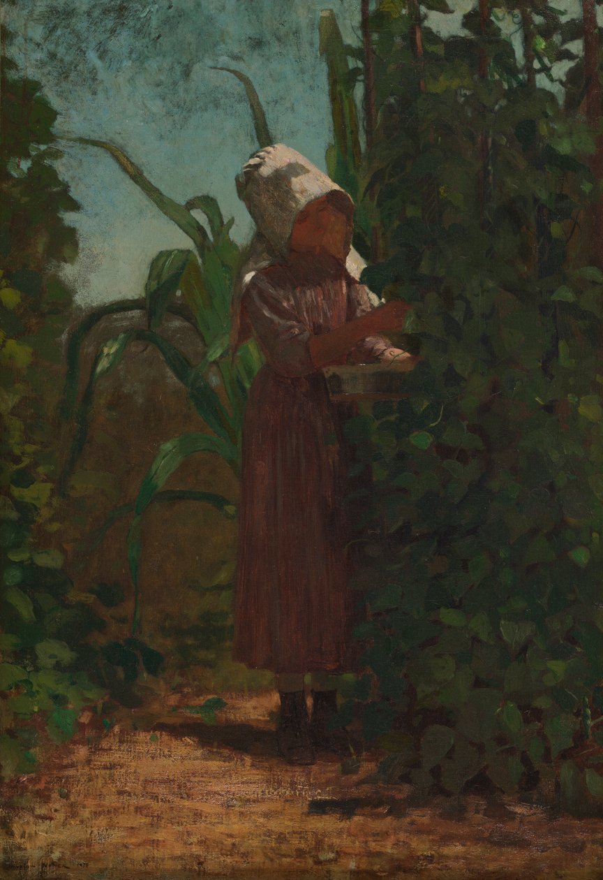Fasulye Seçici by Winslow Homer
