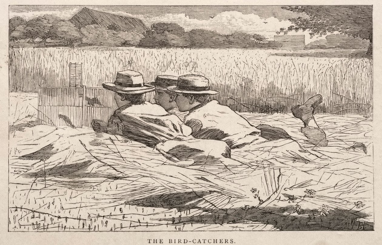  by Winslow Homer