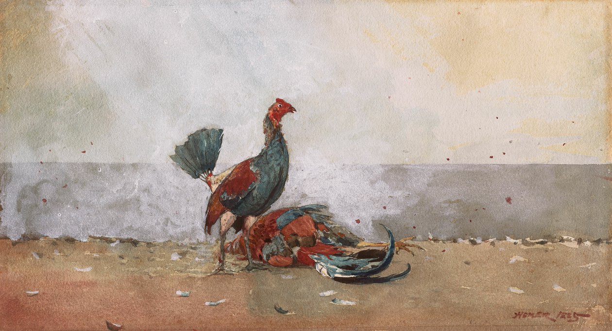 horoz dövüşü by Winslow Homer