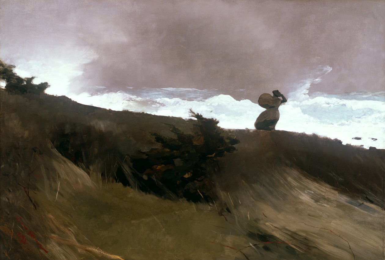 Batı Rüzgarı by Winslow Homer