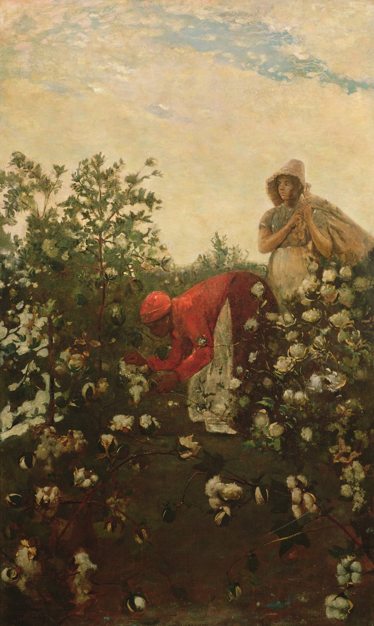 Yayla Pamuk, 1875 by Winslow Homer