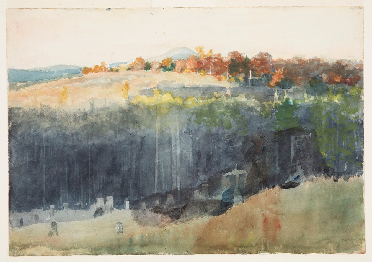 Vadi ve Yamaç by Winslow Homer