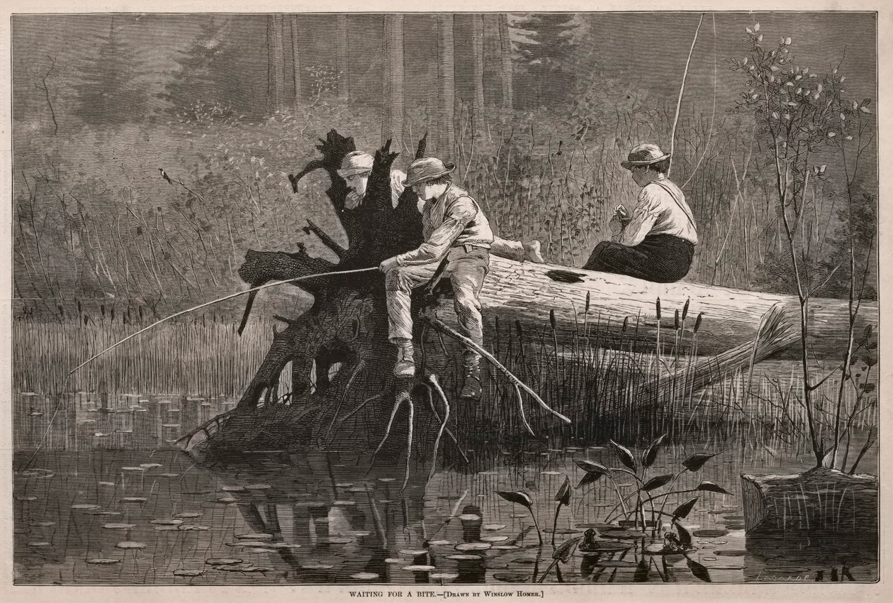  by Winslow Homer