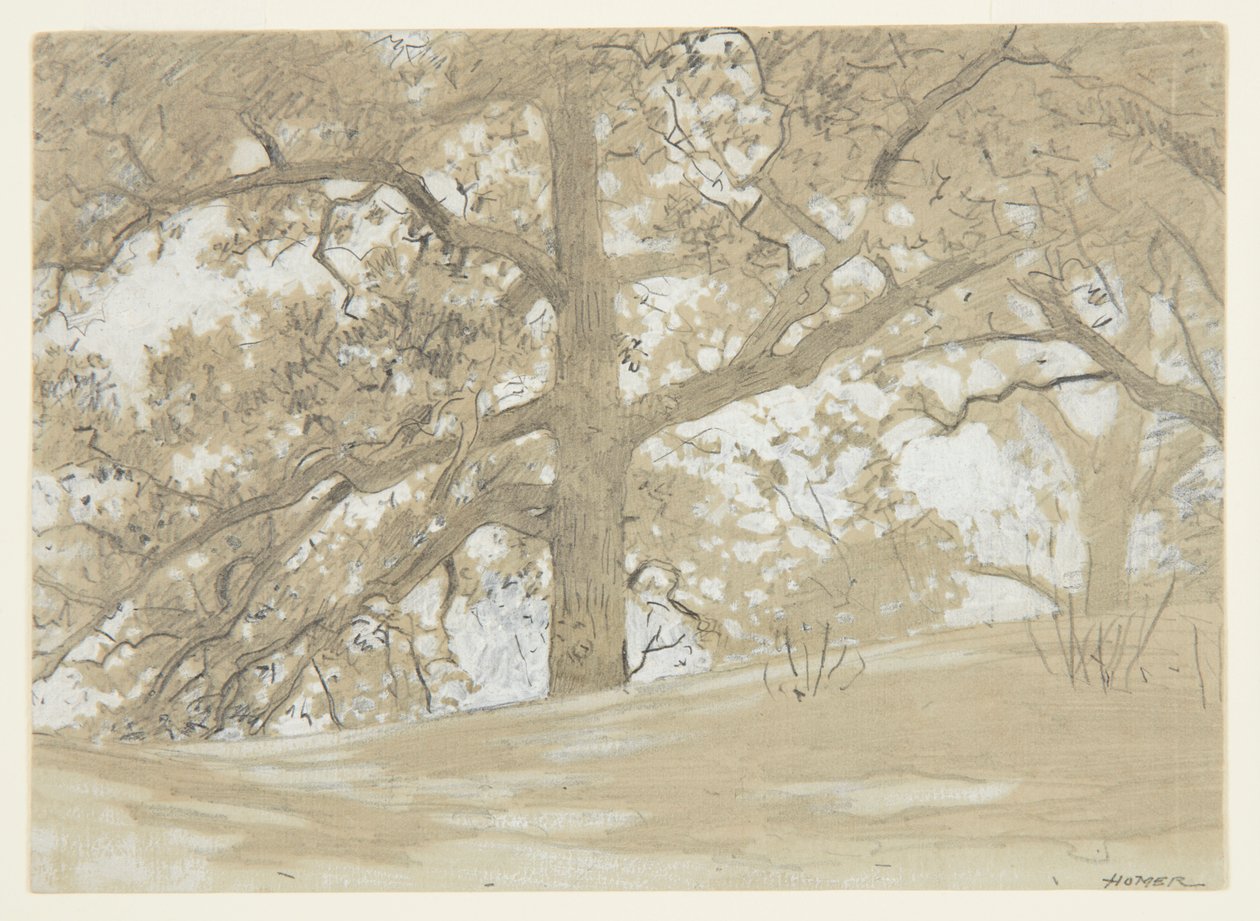 Waverly Meşe by Winslow Homer