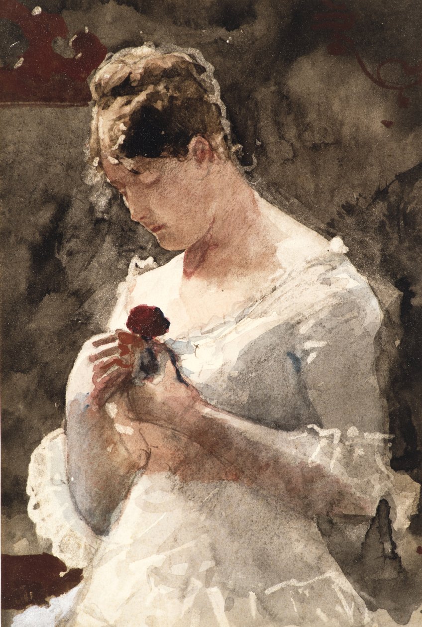 Güllü Kadın, 1879 by Winslow Homer