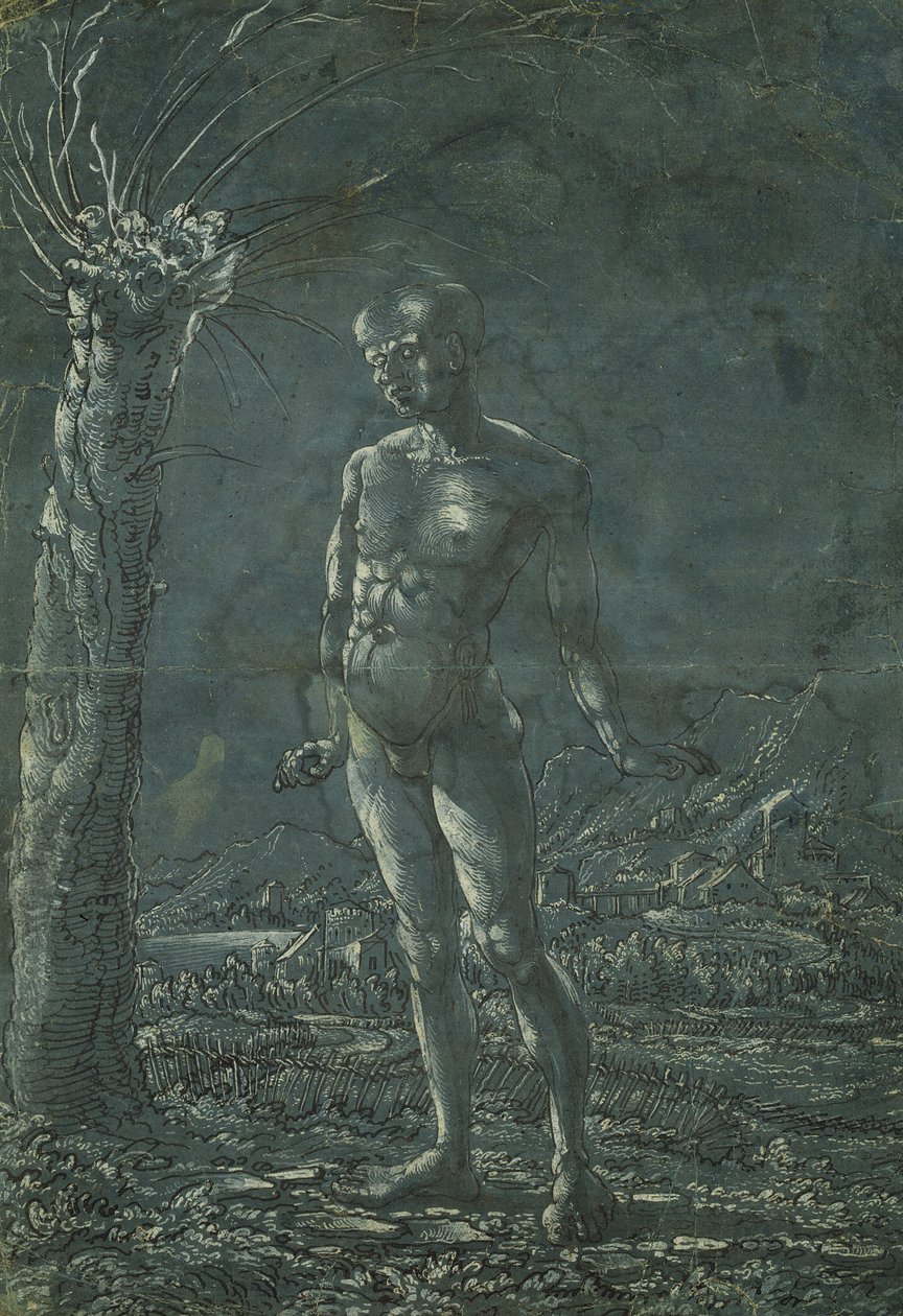 Bir manzarada duran çıplak adam, c.1512 (kağıt üzerinde beyaz vurgulu kalem ve siyah mürekkep) by Wolf Huber