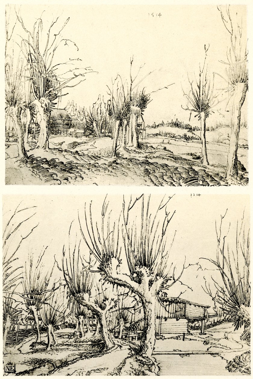 Söğüt ağaçları ile manzaralar by Wolf Huber