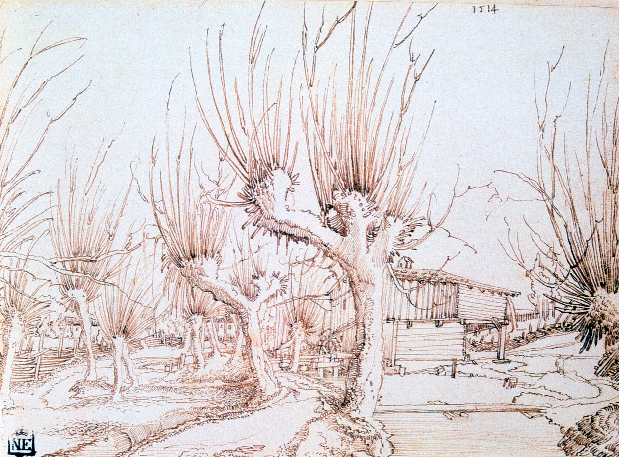 'Söğüt Ovası', 1514 by Wolf Huber
