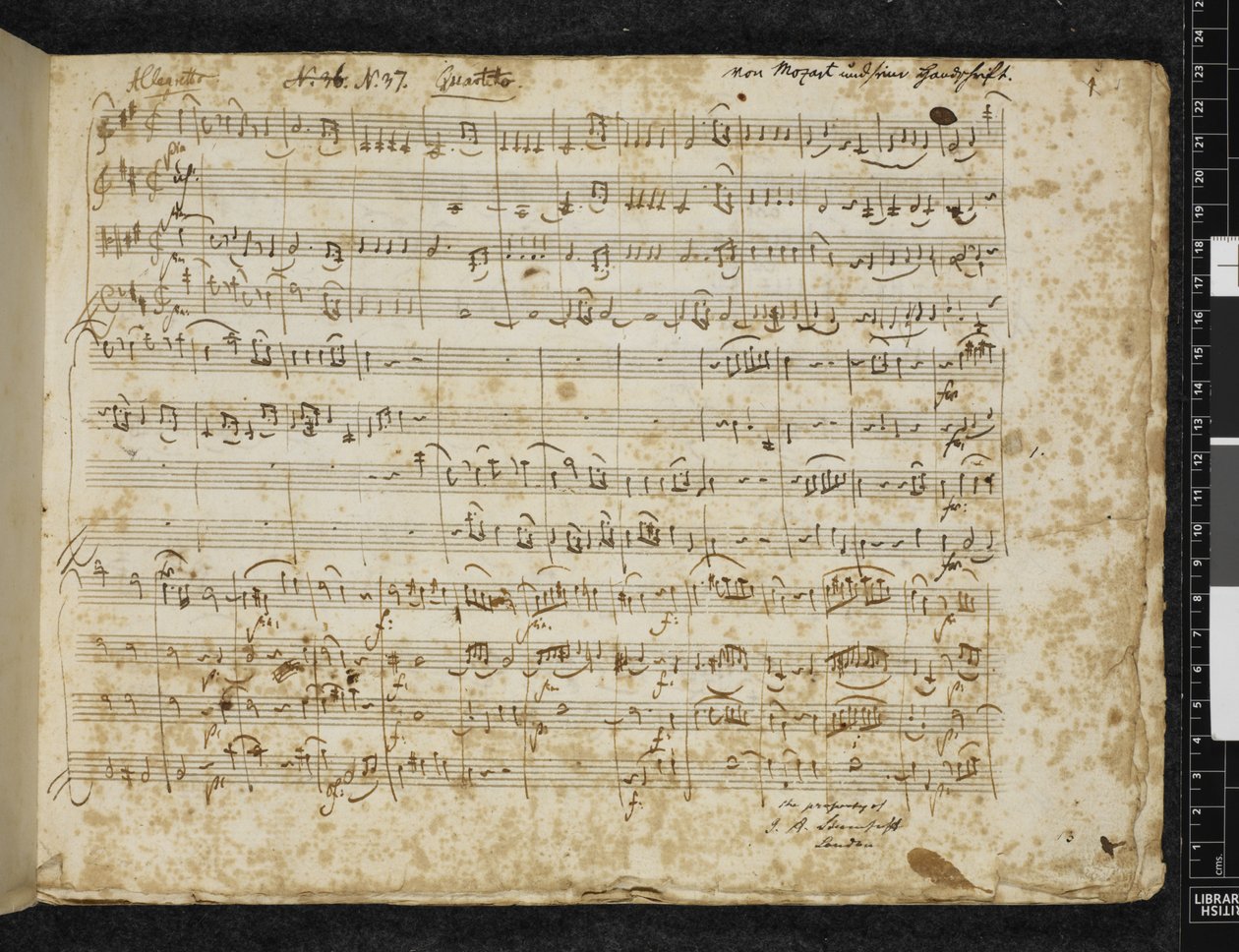 D majör, K. 499