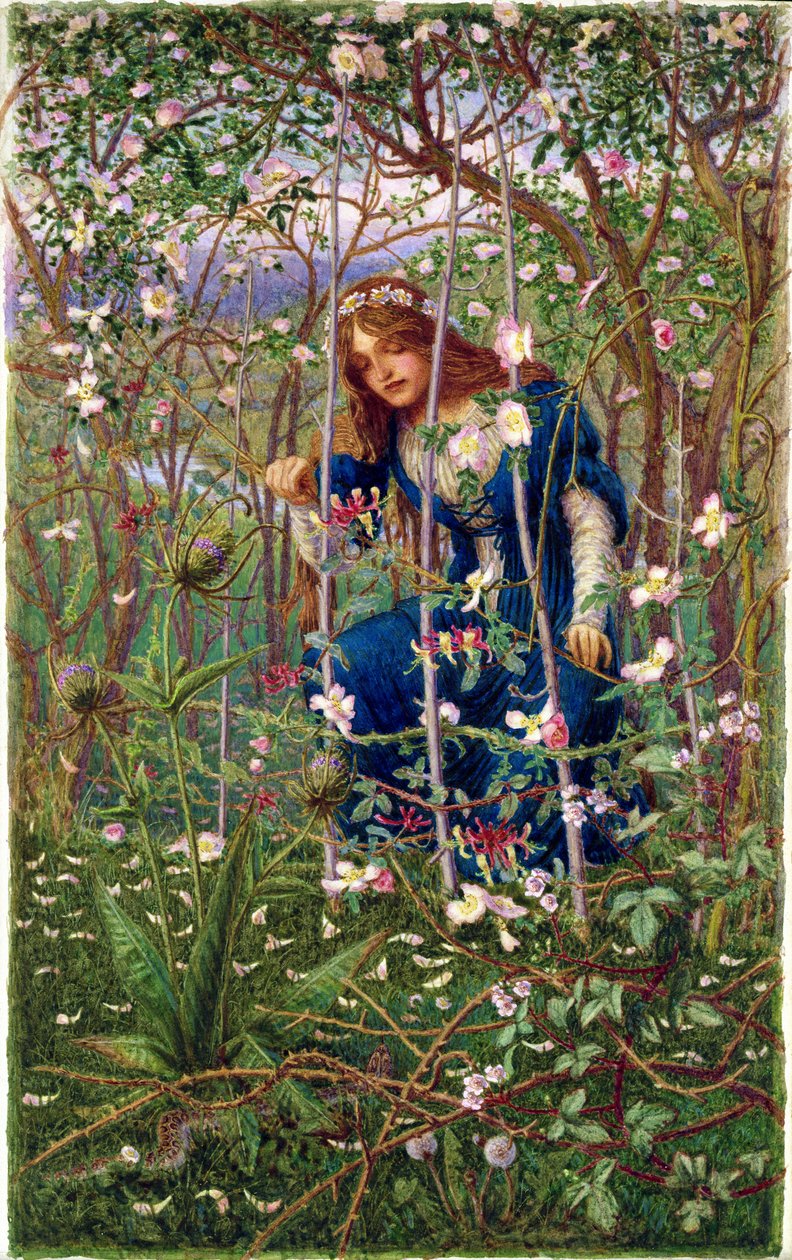 Briar Wood by Woodbine K. Hinchliff