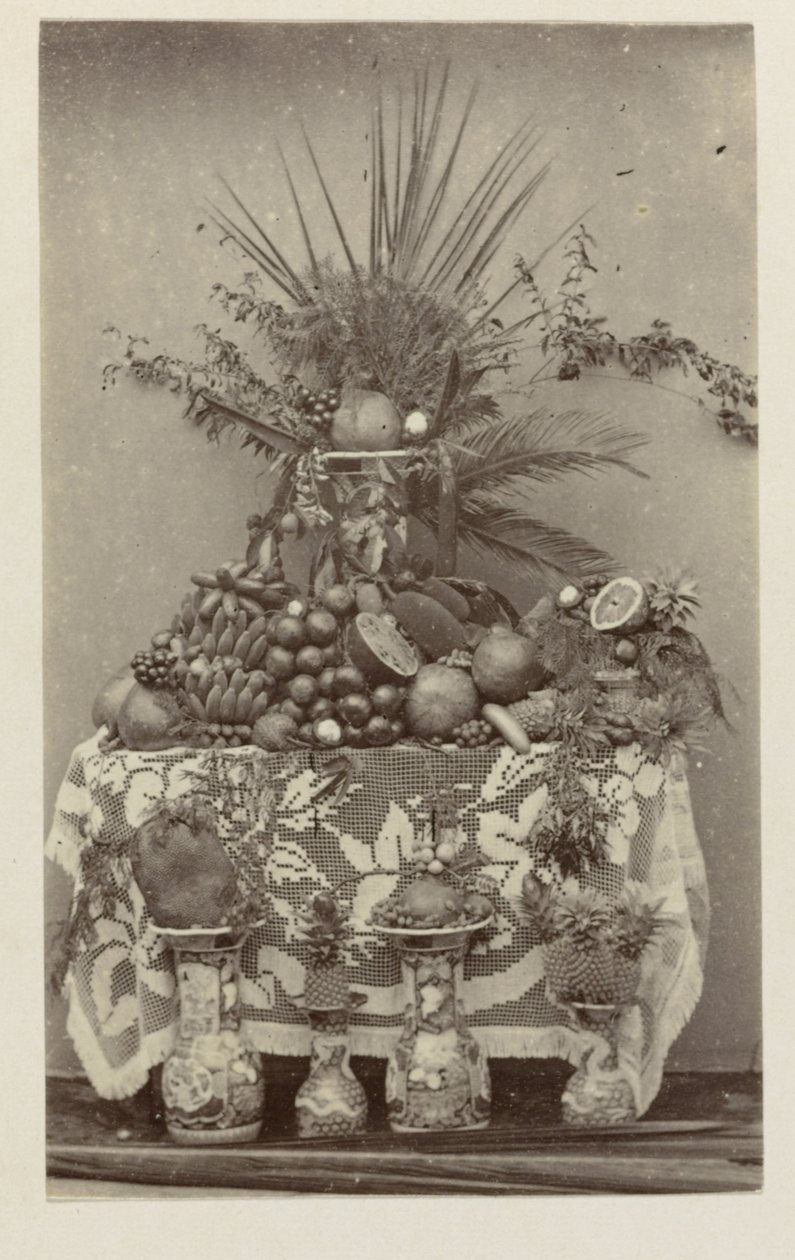 Tropikal meyvelerin natürmort by Woodbury and Page