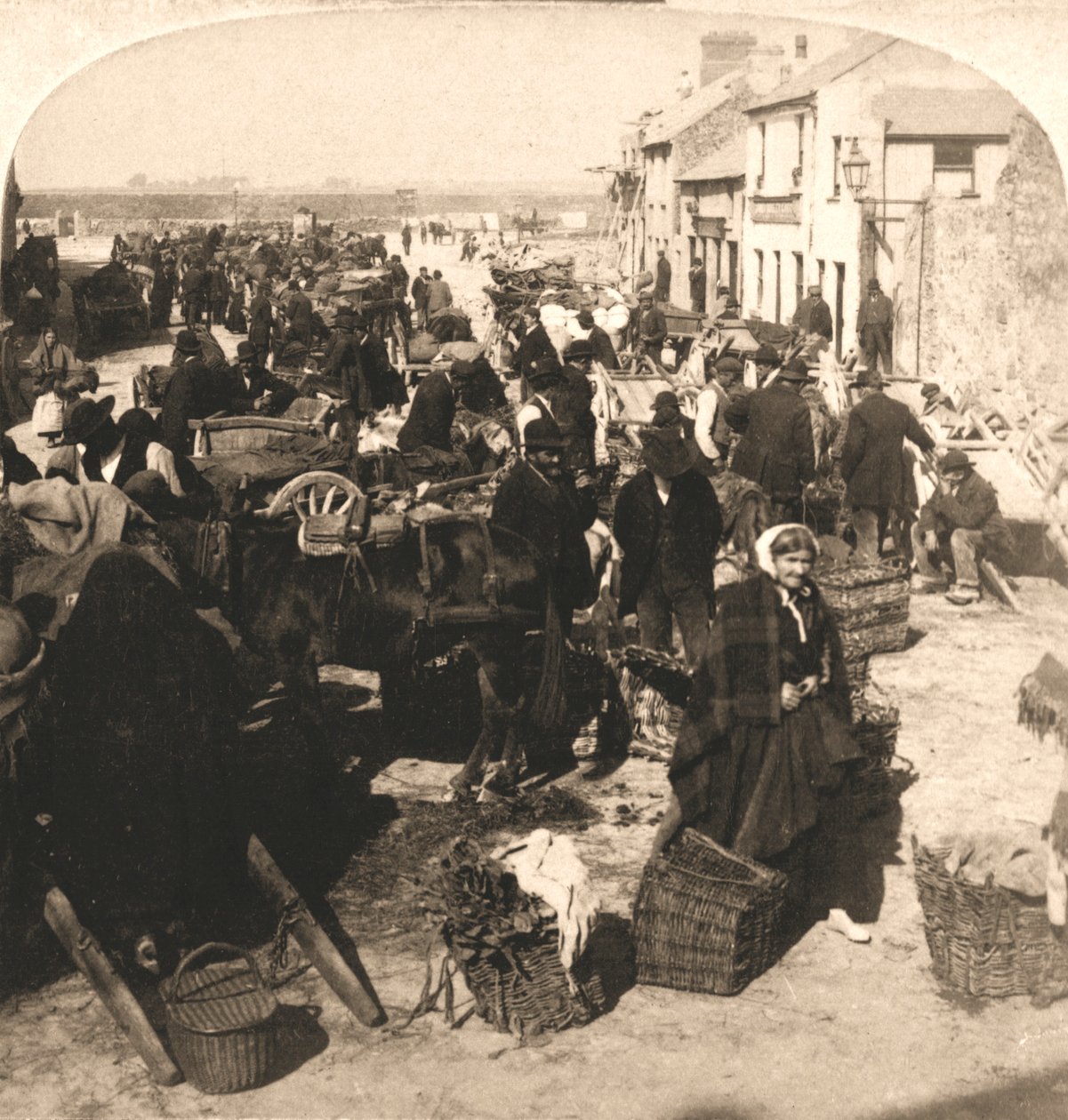 İrlandalının Yaşam Asasını Satmak, Patates Pazarı, Galway, İrlanda, 1901. by Works and Sun Sculpture Studios