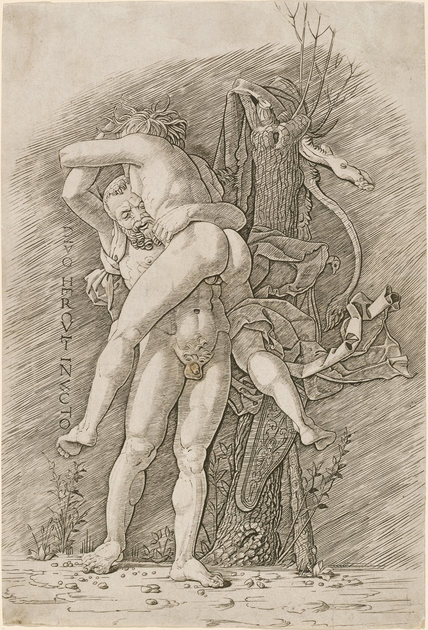 Herkül ve Anteus by Workshop of Andrea Mantegna