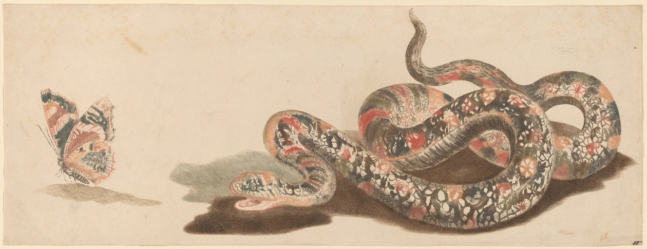Yılan ve Kelebek by Workshop of Johann Teyler