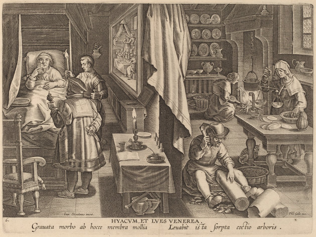 Hyacum ve Lues Venerea (Guaiacum ve Zührevi Enfeksiyon) by Workshop of Philip Galle after Jan van der Straet