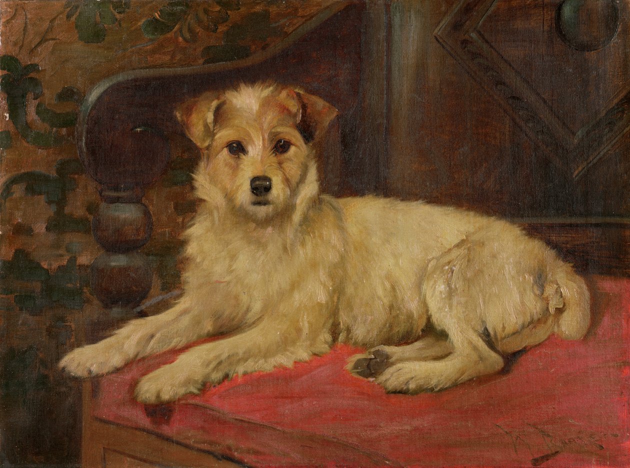 ಸೆಟೆಟರ್ಕ್‌ನಲ್ಲಿ ಟೆರಿಯರ್ by Wright Barker