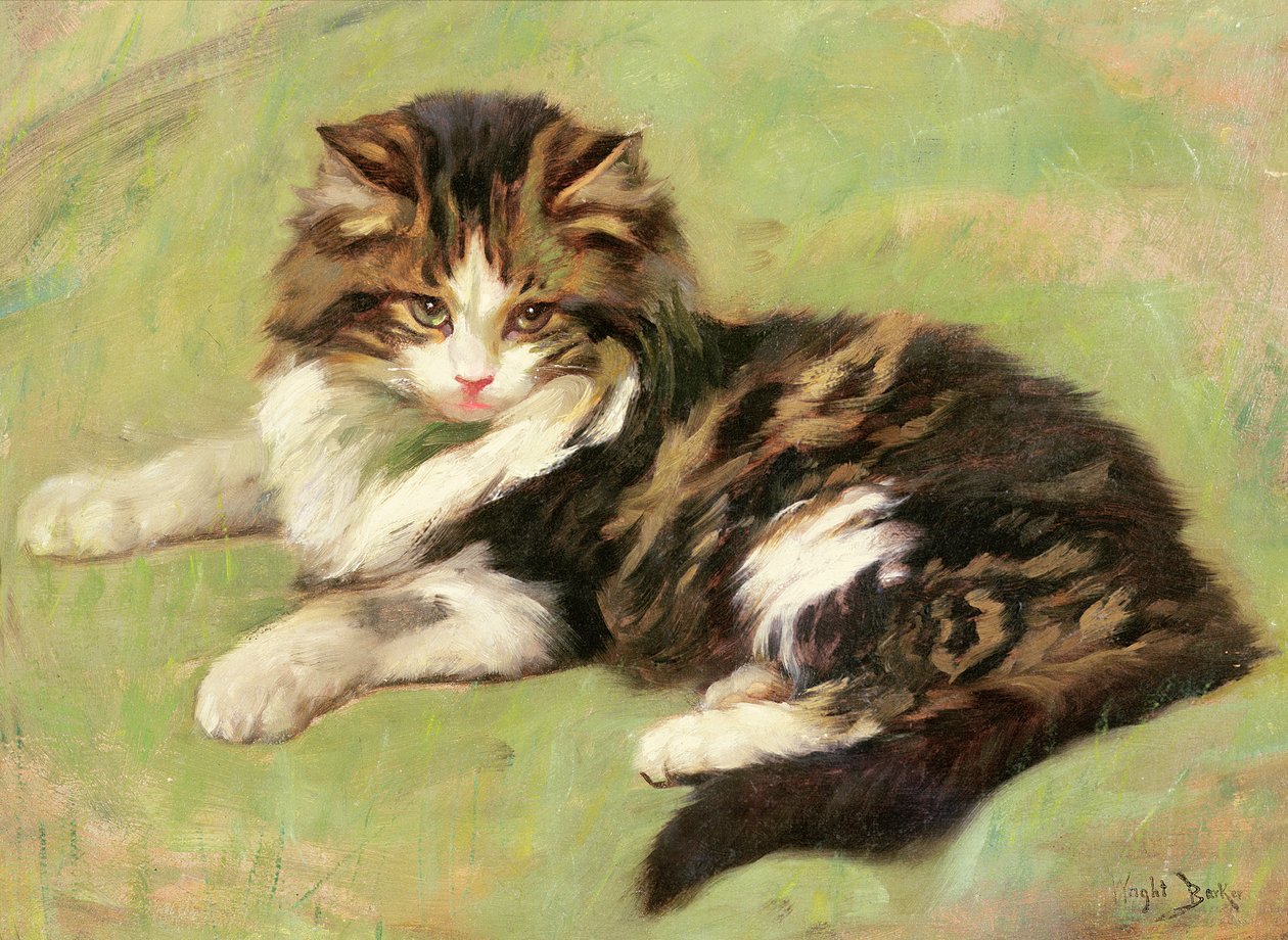 Restturk ನಲ್ಲಿ by Wright Barker