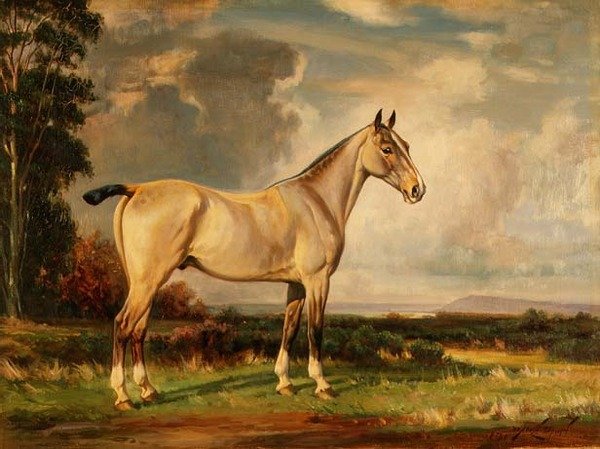 Tavus kuşu portresi by Wright Barker