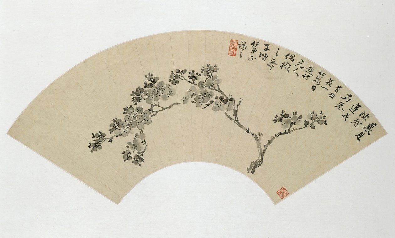 Kayısı, 19. yüzyıl. by Wu Xizai