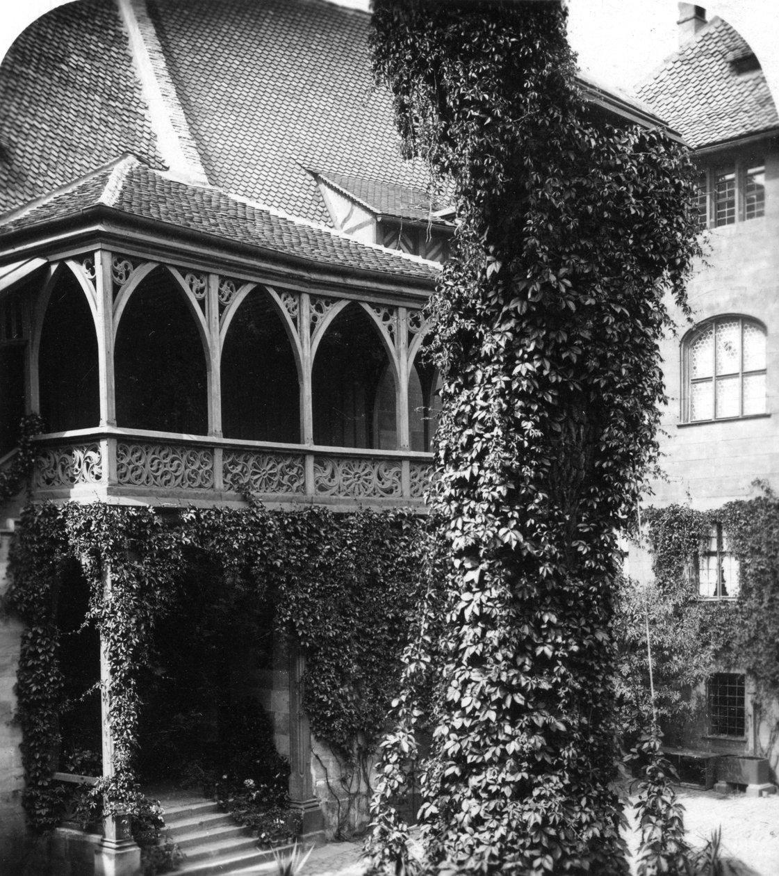 Bir avluda ıhlamur ağacı, Nürnberg, Bavyera, Almanya, 1900