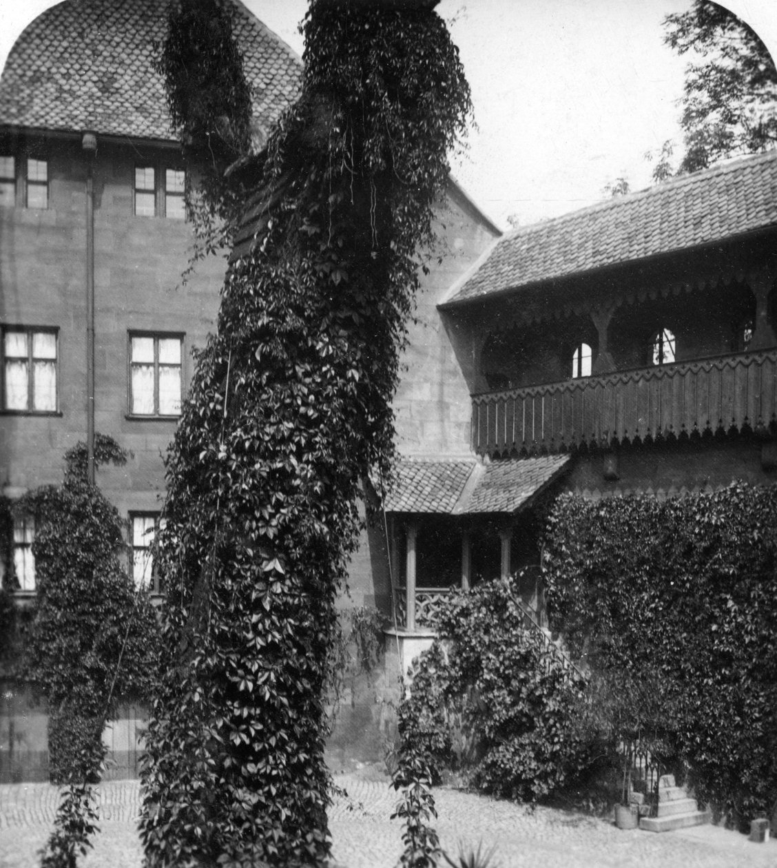Bir avluda ıhlamur ağacı, Nürnberg, Bavyera, Almanya, 1900