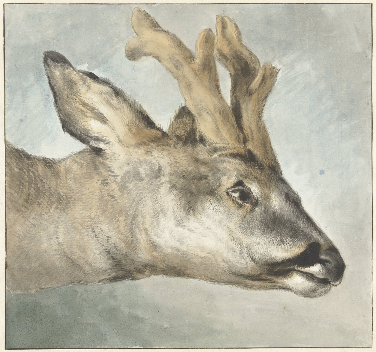 Bir Roebuck Başkanı by Wybrand Hendriks