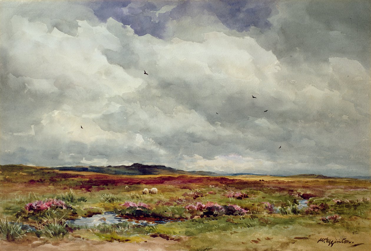 Rüzgarlı Bir Gün, Dartmoor by Wycliffe Egginton